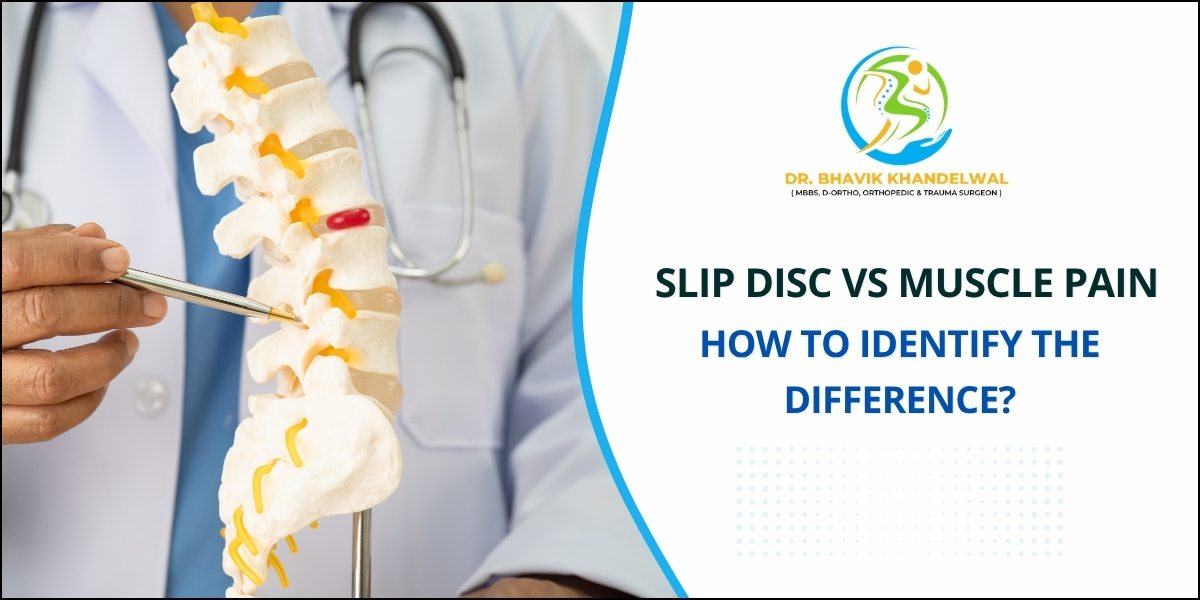 Difference between Slip Disc vs Muscle Pain